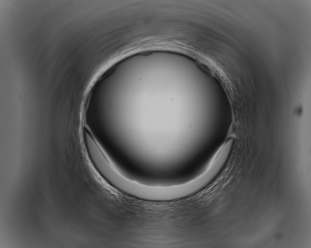 X0000099961528200806201325