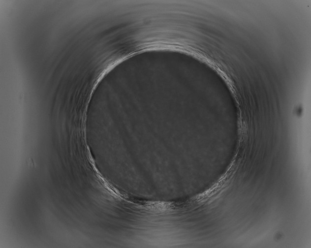 X0000099961529200806201325