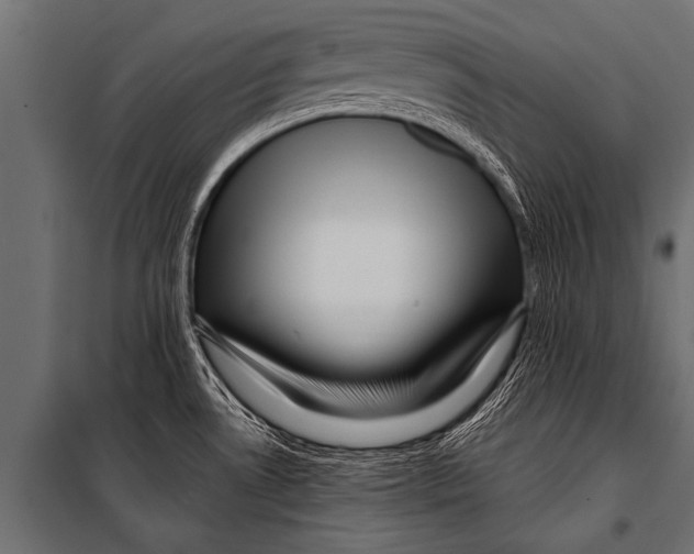 X0000099961530200806201325