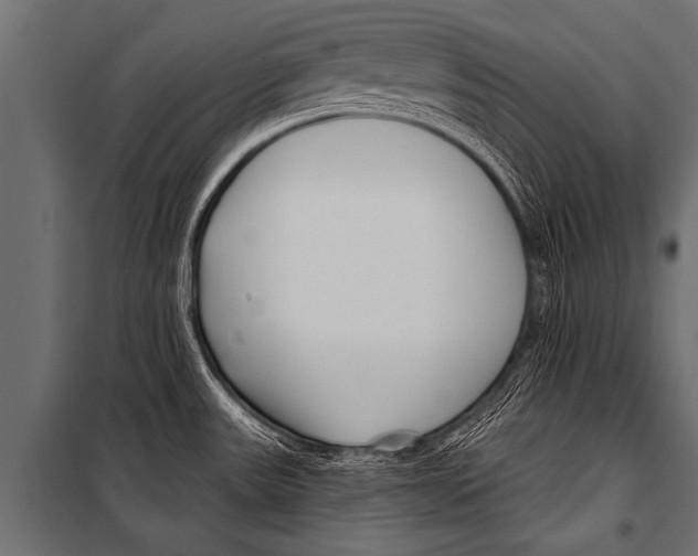 X0000099961531200806201325