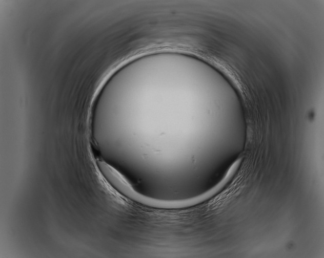 X0000099961532200806201325