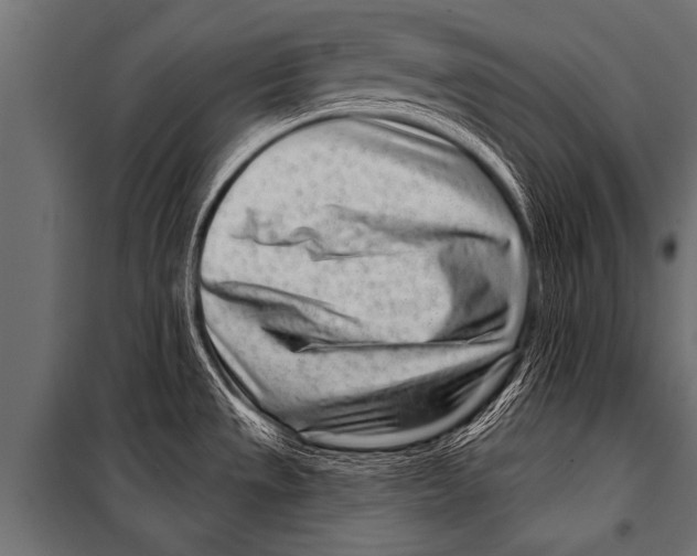 X0000099961533200806201325