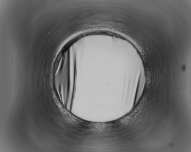 X0000099961534200806201325