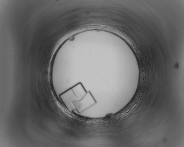 X0000099961535200806201325