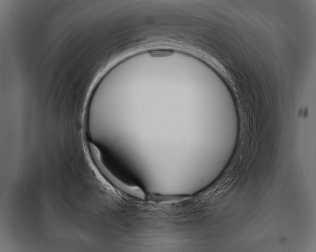 X0000099961536200806201325