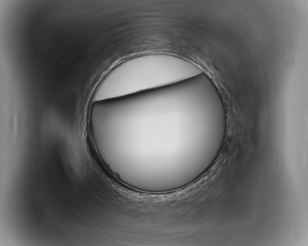X0000099970002200805231011