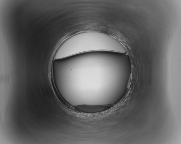 X0000099970003200805231011