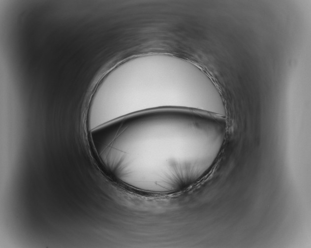 X0000099970004200805231011