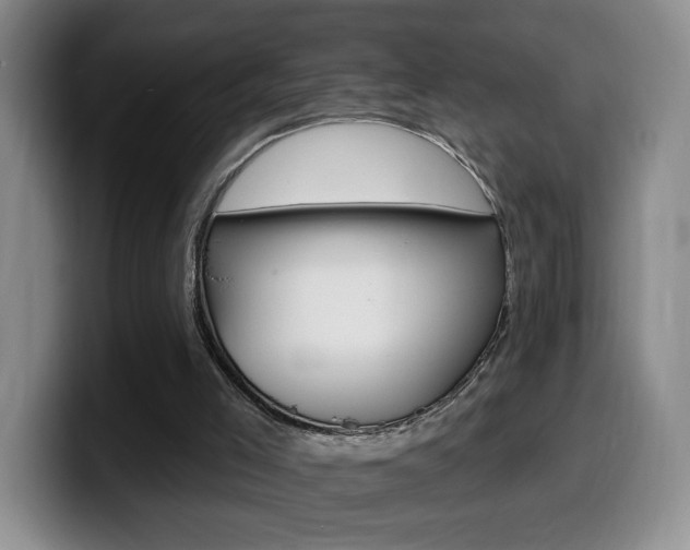X0000099970005200805231011