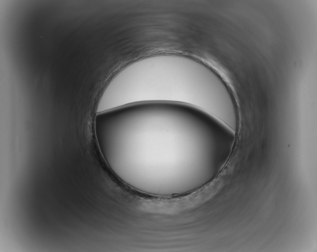 X0000099970009200805231011