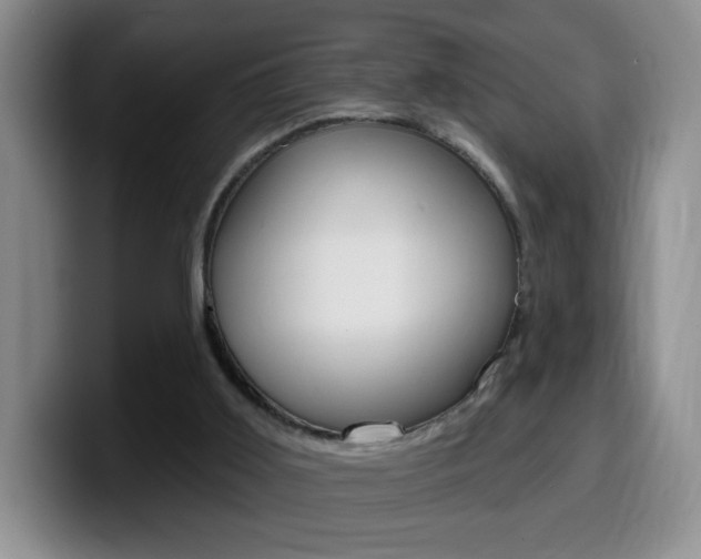 X0000099970011200805231011