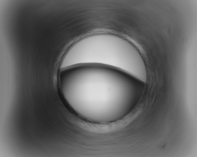 X0000099970015200805231011