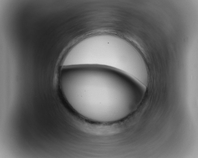 X0000099970016200805231011