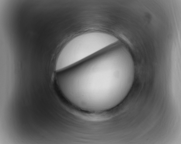 X0000099970020200805231011
