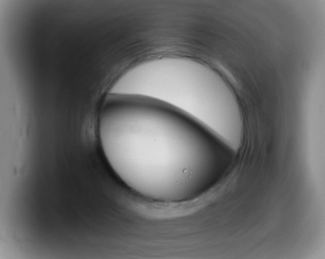 X0000099970023200805231011