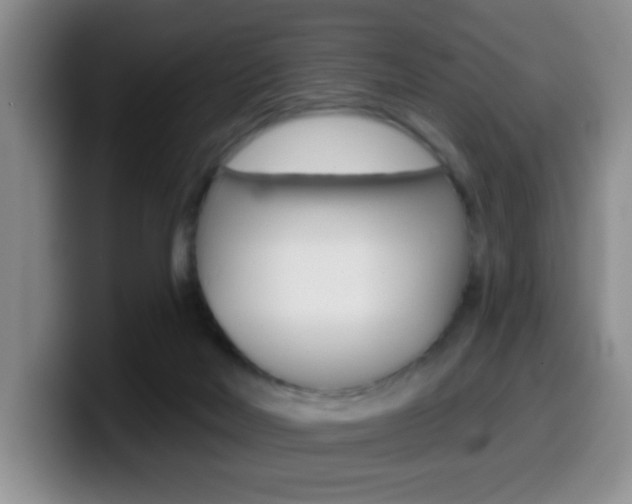 X0000099970026200805231011