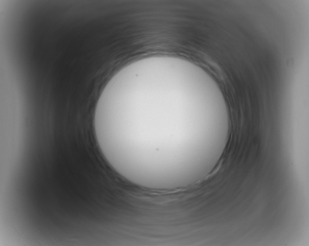 X0000099970029200805231011