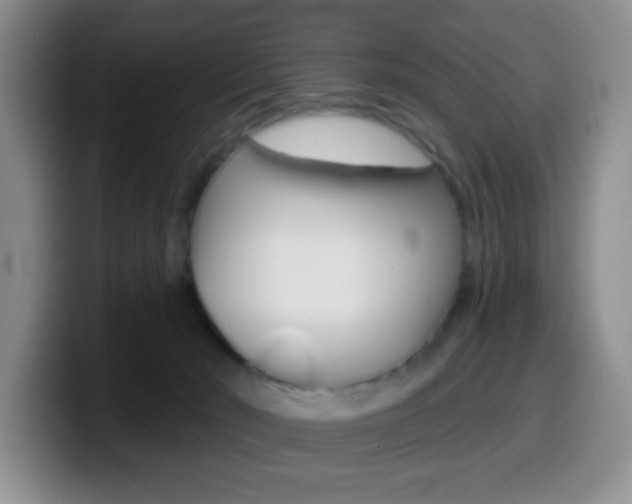 X0000099970030200805231011