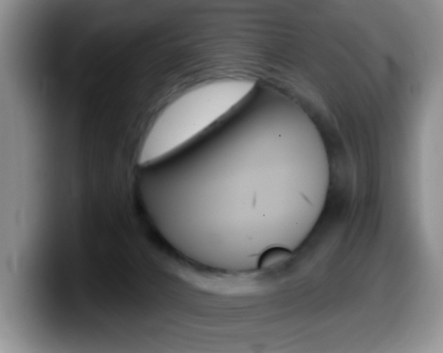 X0000099970032200805231011