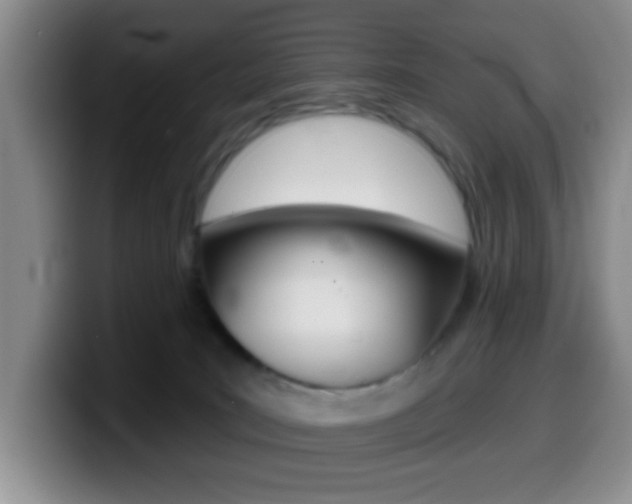 X0000099970035200805231011