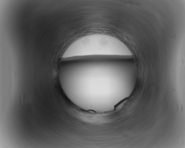 X0000099970040200805231011