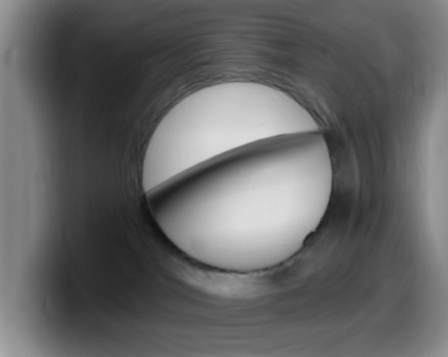 X0000099970044200805231011