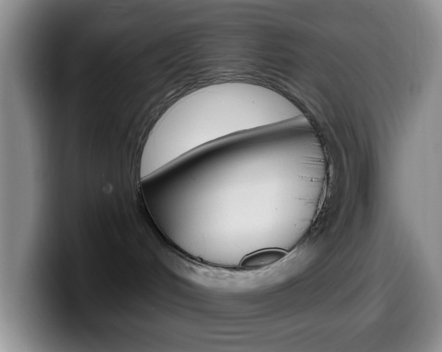 X0000099970048200805231011
