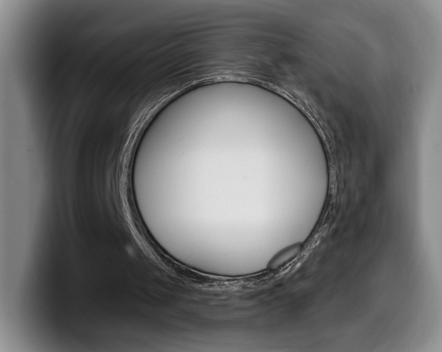 X0000099970049200805231010