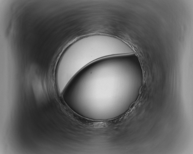 X0000099970050200805231010