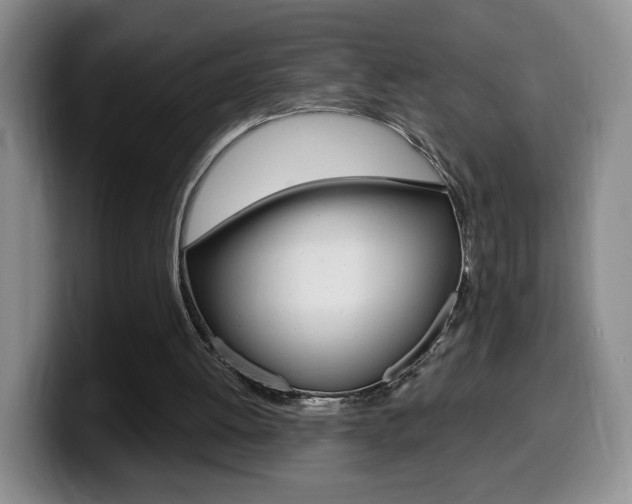 X0000099970052200805231010