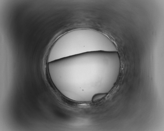 X0000099970053200805231010