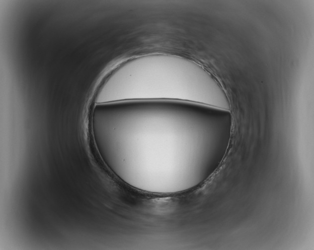 X0000099970054200805231010