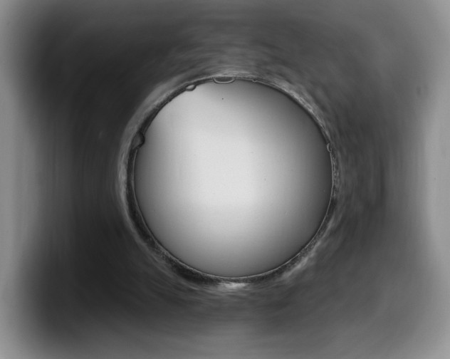 X0000099970055200805231010