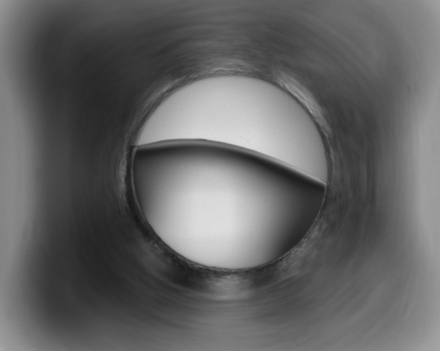 X0000099970058200805231010
