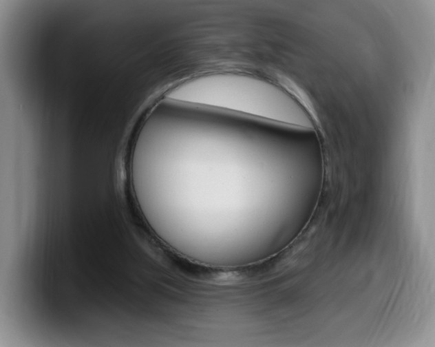 X0000099970059200805231010