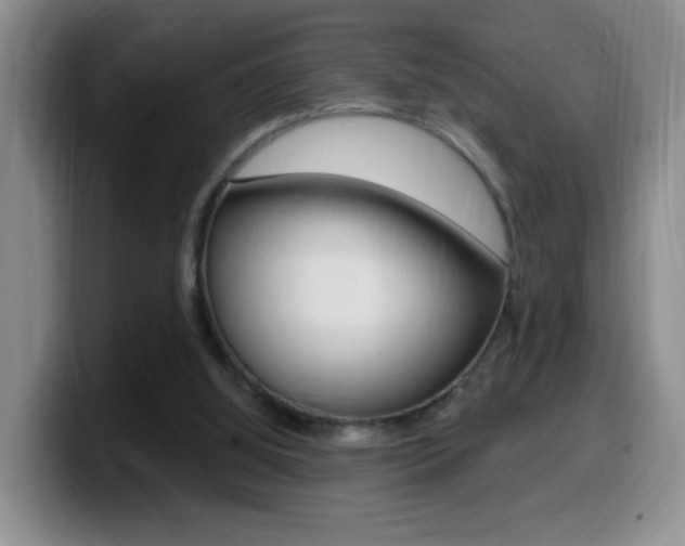 X0000099970060200805231010