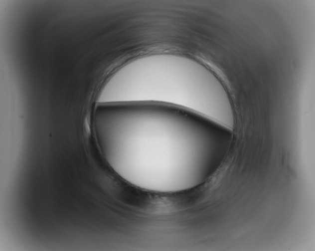 X0000099970062200805231010