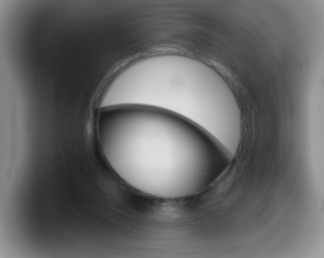 X0000099970064200805231010