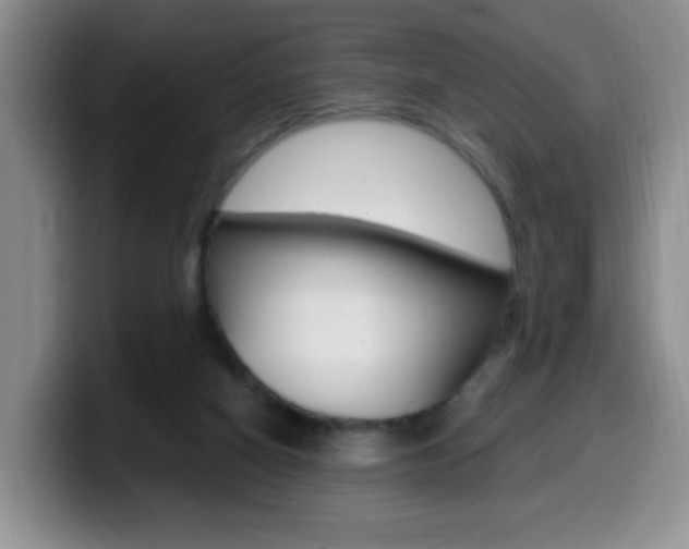 X0000099970066200805231010