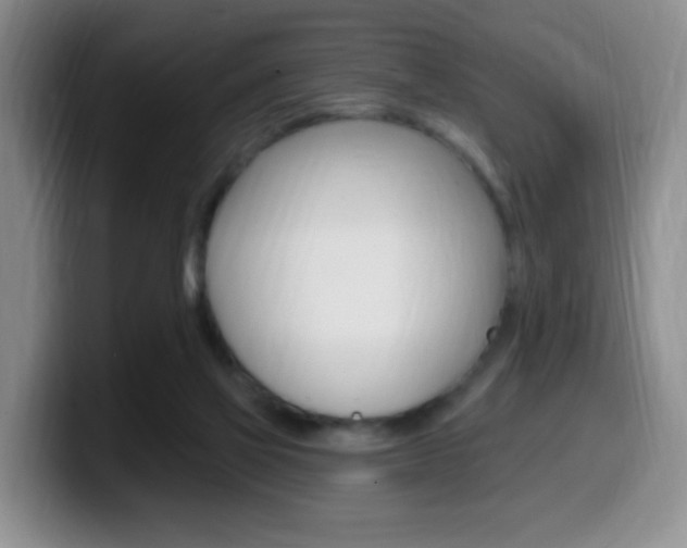 X0000099970069200805231010