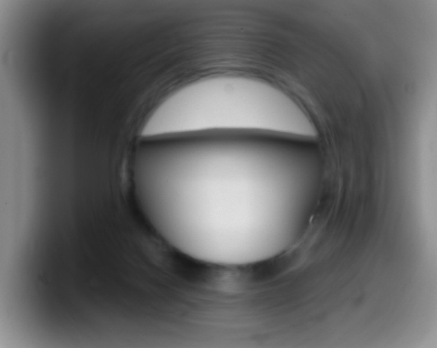 X0000099970074200805231011