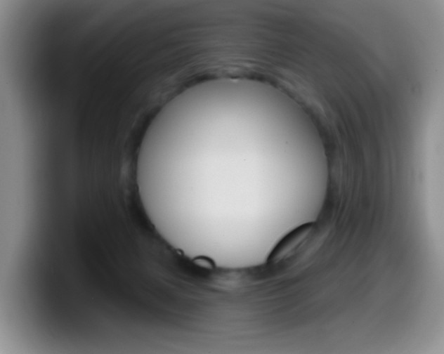 X0000099970079200805231011