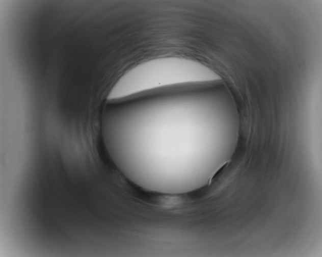 X0000099970085200805231011
