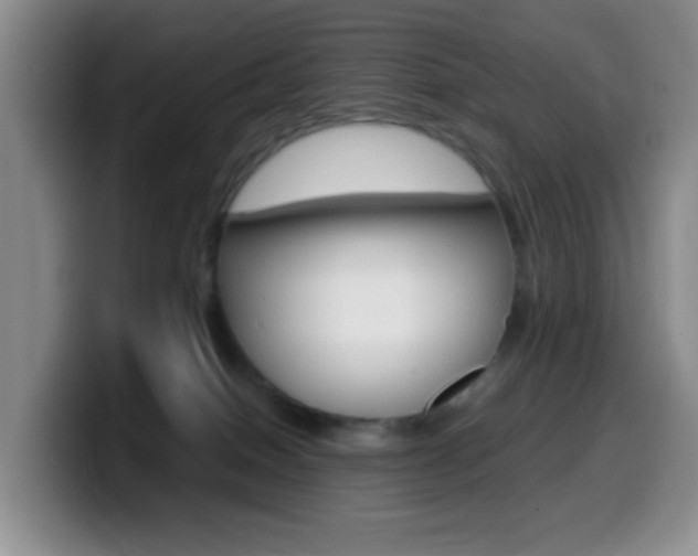 X0000099970086200805231011