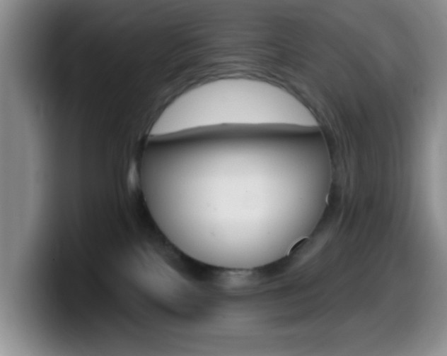 X0000099970089200805231011