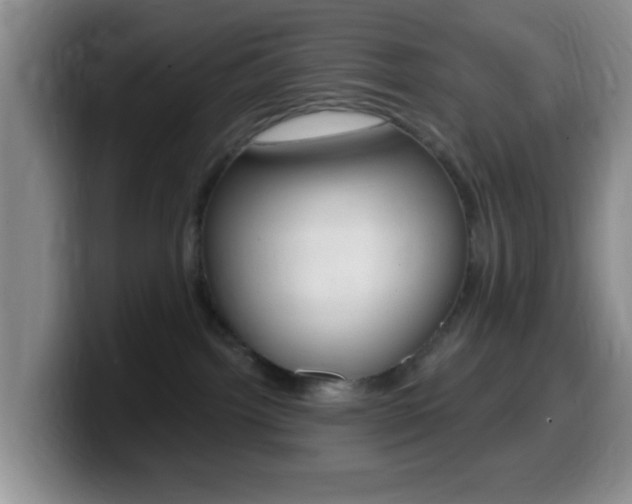 X0000099970092200805231011
