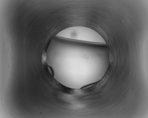 X0000099970095200805231011