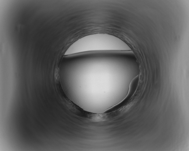 X0000099970096200805231011