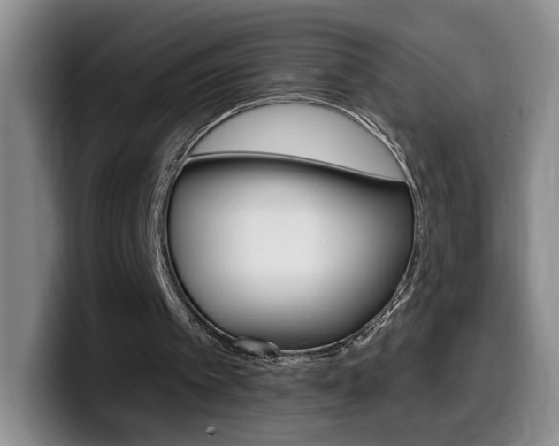 X0000099970097200805231010