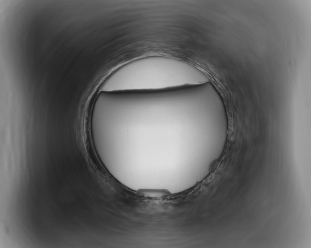 X0000099970098200805231010